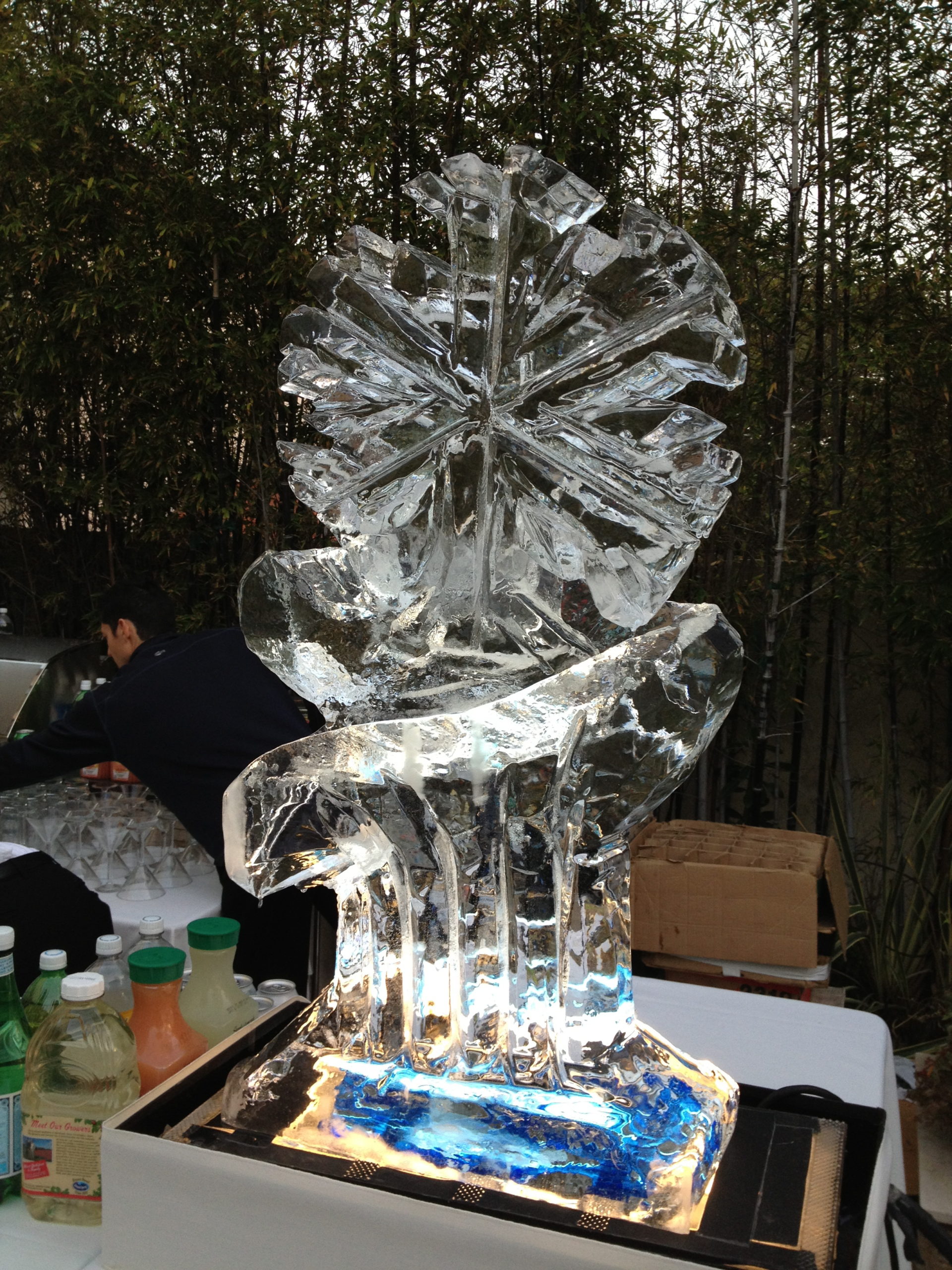 Book Ice Luge- Hire Ice shot Glasses